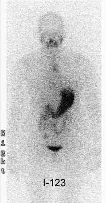 2002 10 17 14 37 46 706