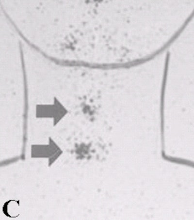 2002 10 17 15 18 33 706