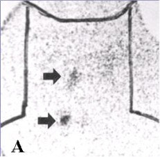 2002 10 17 15 26 29 706