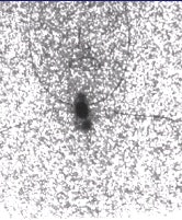 2002 10 18 10 25 22 706