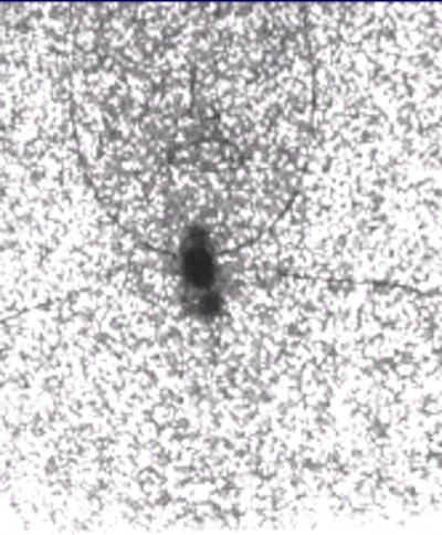 2002 10 18 10 25 22 706