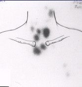 2002 10 18 10 29 26 706