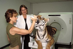 2002 11 06 16 19 57 706