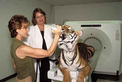 2002 11 06 16 19 57 706