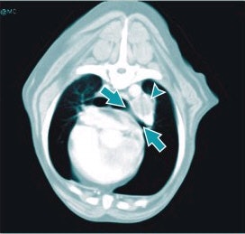 2002 11 06 16 24 09 706