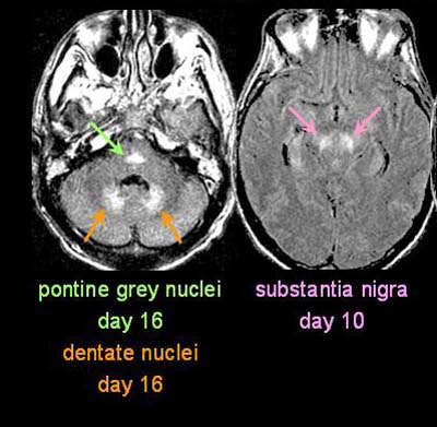 2002 12 05 07 53 12 706