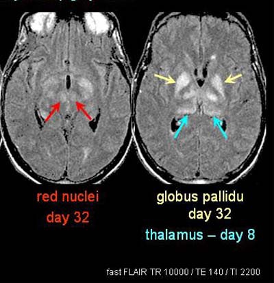 2002 12 05 08 13 51 706