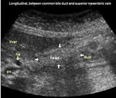 2002 12 16 13 34 30 706