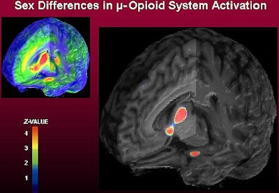 2003 03 17 17 11 40 706