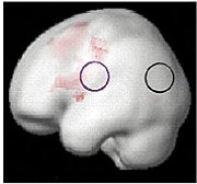 2003 04 18 11 21 15 706