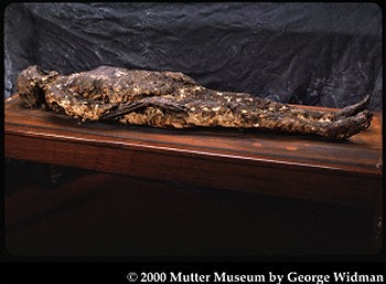 2003 04 22 14 24 30 706