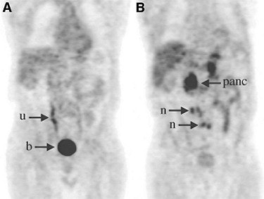 2003 04 25 14 21 10 706