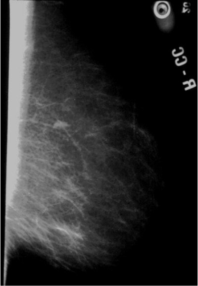 2003 04 25 14 37 14 706