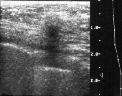 2003 04 25 14 46 22 706