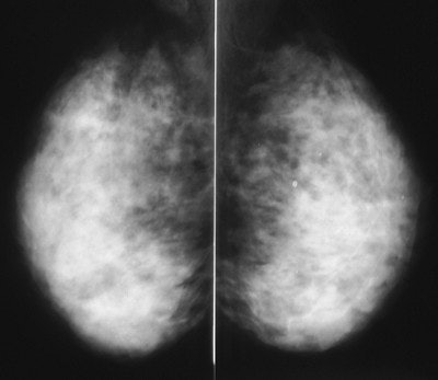 2003 04 28 09 50 46 706