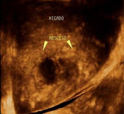 2003 05 02 15 53 10 706