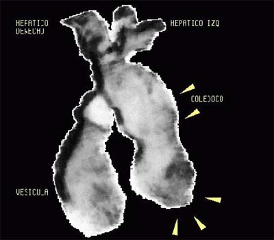 2003 05 02 15 57 15 706