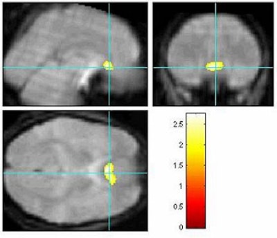 2003 06 10 14 34 46 706