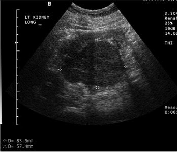 2003 06 16 15 55 12 706