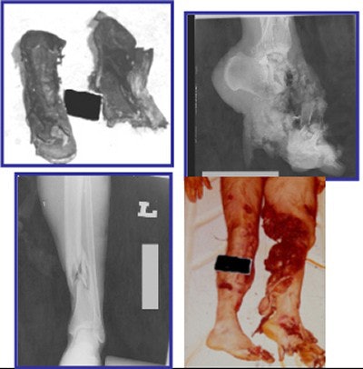 2003 06 19 11 42 27 706