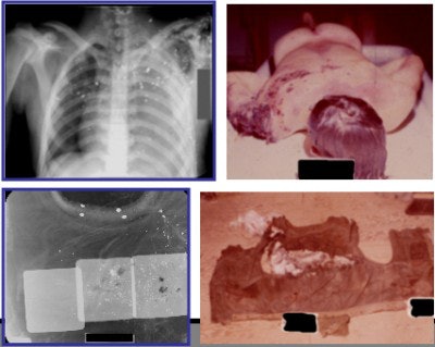 2003 06 19 11 42 47 706