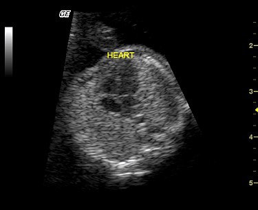 2003 06 30 15 27 52 706