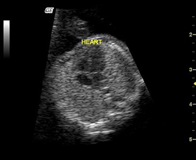 2003 06 30 15 27 52 706