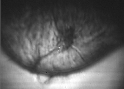 2003 07 11 14 56 12 706