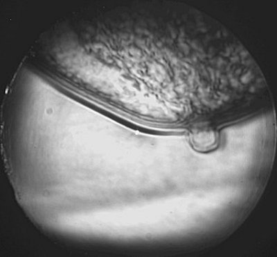 2003 07 11 14 59 19 706