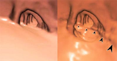 2003 08 29 15 14 00 706