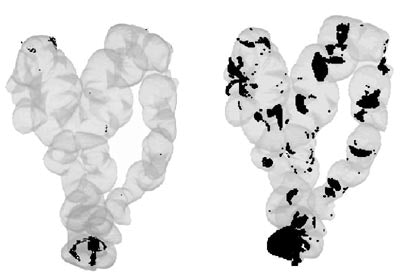 2003 10 03 17 05 18 706