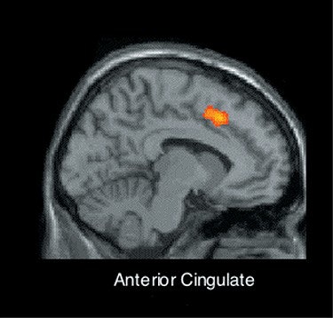 2003 10 16 15 19 29 706