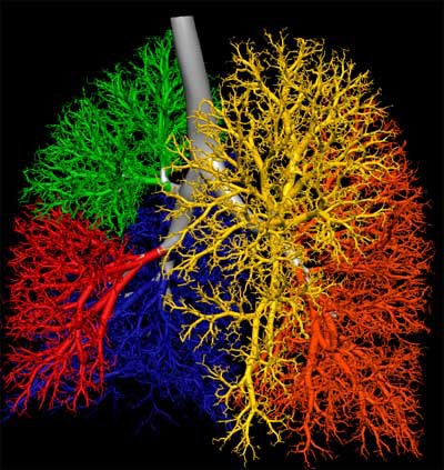 2003 11 17 11 29 25 706