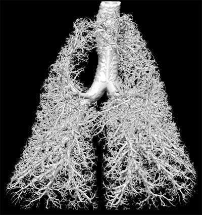 2003 11 17 11 30 07 706