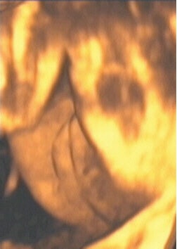 2003 12 30 14 27 01 706