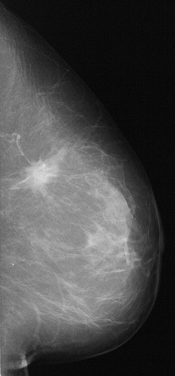 2004 02 20 17 17 23 706