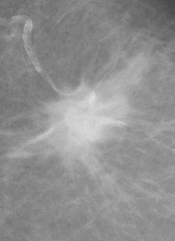 2004 02 20 17 19 27 706