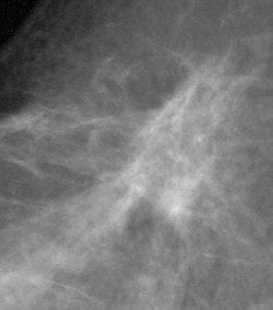 2004 02 20 17 20 53 706