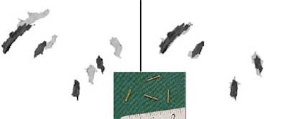 2004 03 05 11 51 16 706