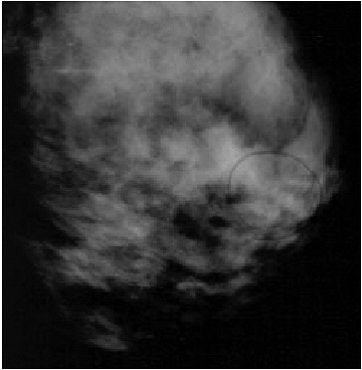 2004 04 19 15 38 41 706