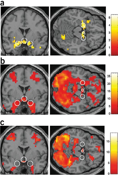 2004 04 28 15 58 43 706