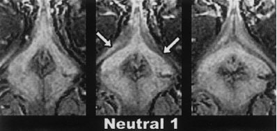 2004 04 28 16 07 30 706