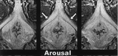 2004 04 28 16 09 12 706