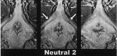 2004 04 28 16 10 44 706