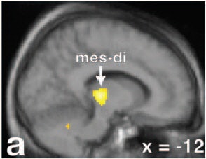 2004 04 29 14 22 03 706