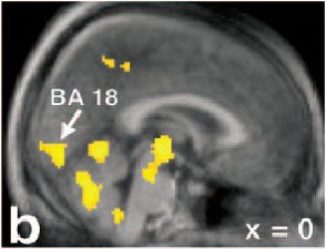 2004 04 29 14 22 29 706