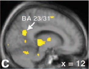 2004 04 29 14 22 49 706