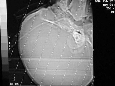 2004 05 11 17 08 06 706