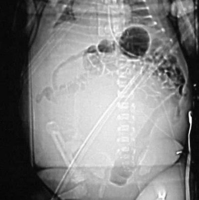 2004 05 11 17 10 50 706