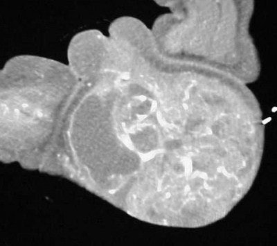 2004 05 11 17 11 23 706